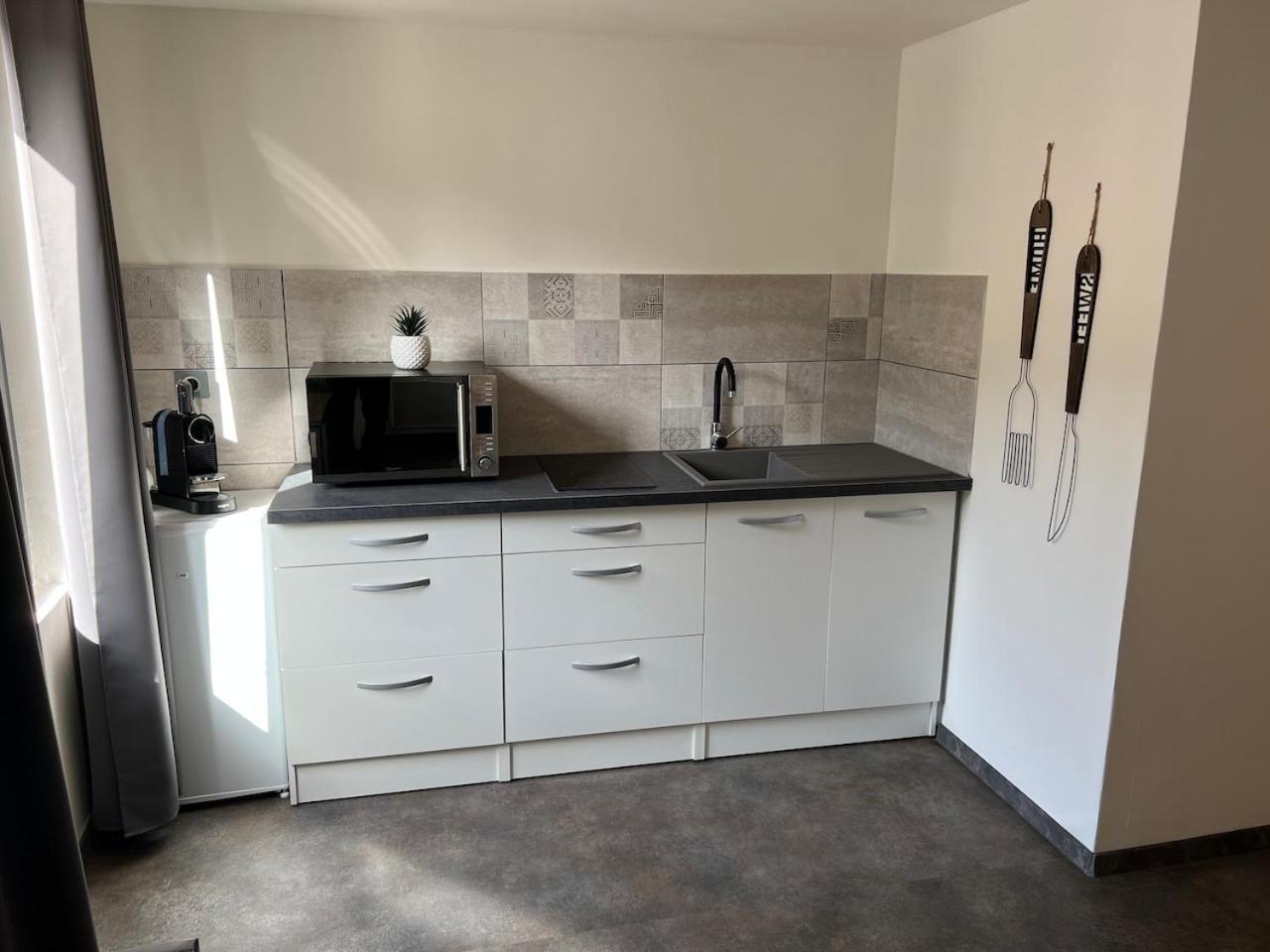 Studio Le Petit Pelican Chatenois  Luaran gambar