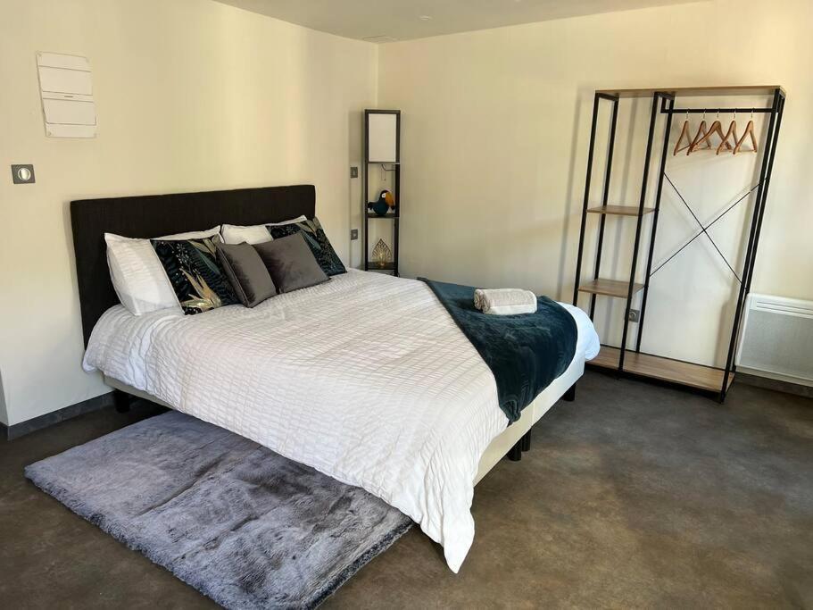 Studio Le Petit Pelican Chatenois  Luaran gambar